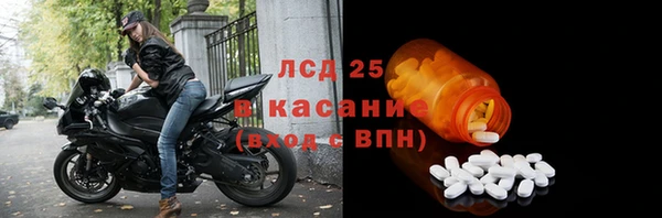 спиды Богданович