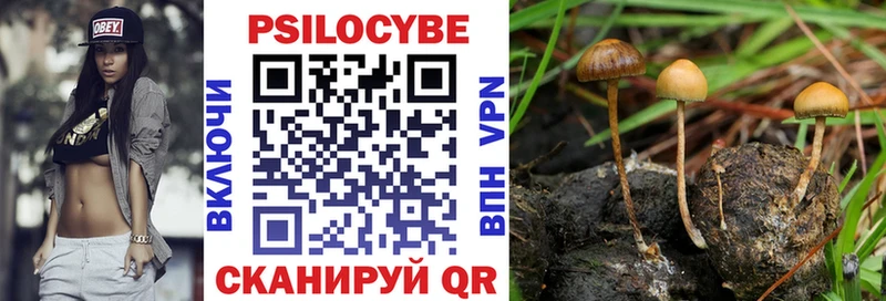 Псилоцибиновые грибы Cubensis Мценск